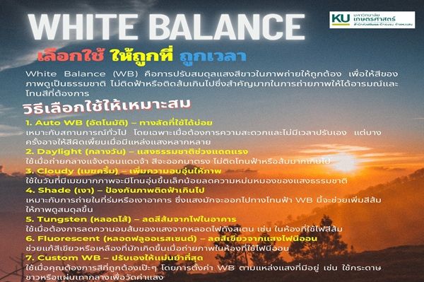 ผู้เขียน นายวิสิทธิ์ จงแจ่ม