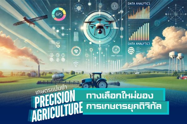 ผู้เขียน นางสาวอริสรา  เกษมจิตร์