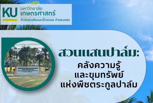 ผู้เขียน นายธเนตร ศรีสุข